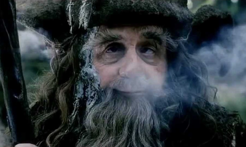 Radagast in "Lo Hobbit" diretto da Peter Jackson