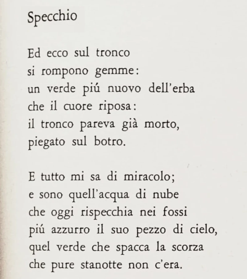 Specchio di Salvatore Quasimodo